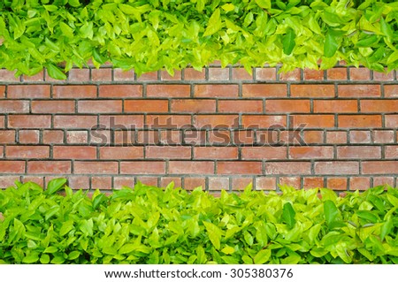 Green leaves Frame on Red brick wall background with text space