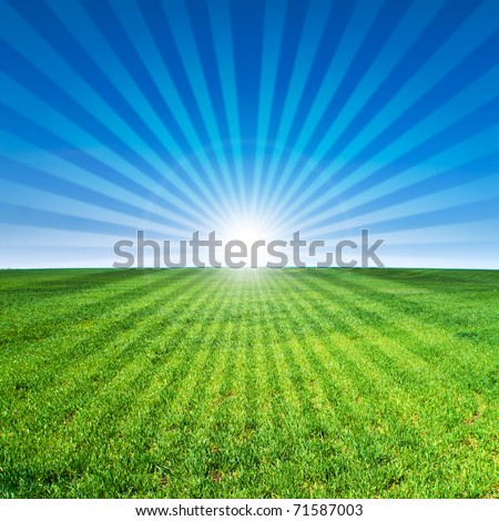 beautiful landscape, green grass, blue sky