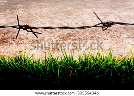 Abstract background of protection, Colorful background of barbed wire, Walking beside the barbed wire fence and grass green.