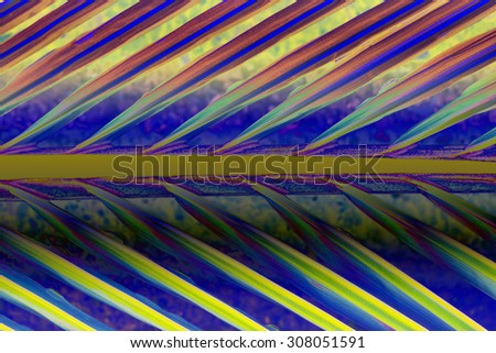 Abstract background, Patterns of coconut leaves.