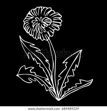 Dandelion vector illustration on black background. Doodle style. Design icon, print, logo, poster, symbol, decor, textile, paper, card. 