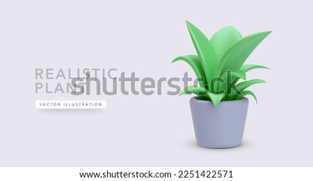 3d realistic plant in a flowerpot isolated on a light background. Vector illustration
