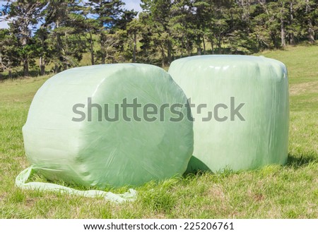 Bales of green crop silage, wrapped up in white plastic for storage, in countryside New Zealand.
