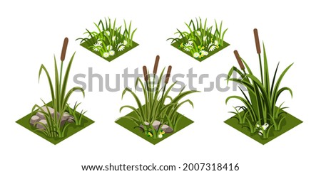 Reeds and grass isomatric. Green grass with chamomiles flowers, rover reeds and rocks. Isolated tiles for landscape background, cartoon design style. Vector illustration Stock fotó © 
