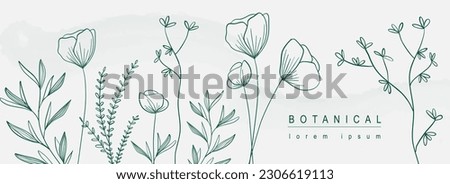 Botanical abstract background with floral line art design. Horizontal web banner in minimal style with blooming poppy flowers contour, different leaves and plant twigs border. Vector illustration.