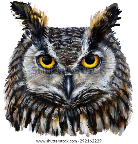 eagle owl  digital painting / eagle owl head