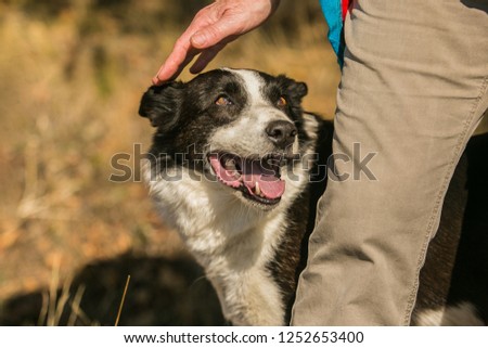 Shutterstock Puzzlepix