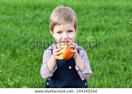 Happy and cheerful boy eating cookies in the park