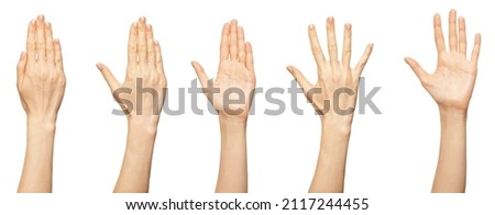 Similar – Image, Stock Photo Hands raising up and down on background of grey wall