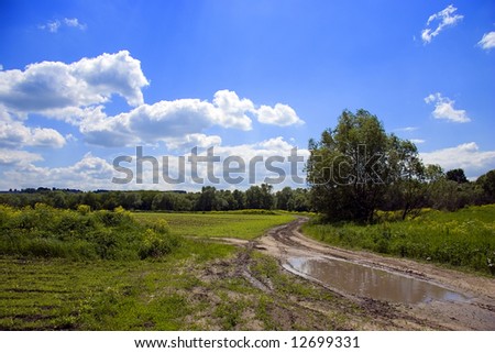 Rural dirty - road with puddle after summer rain, Russia (series Trees and Roads)