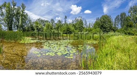 Similar – Foto Bild Biotop und Naturschutzgebiet im Sommer bei Sonnenschein am Poyrazlar Gölü bei Adapazari in der Provinz Sakarya in der Türkei