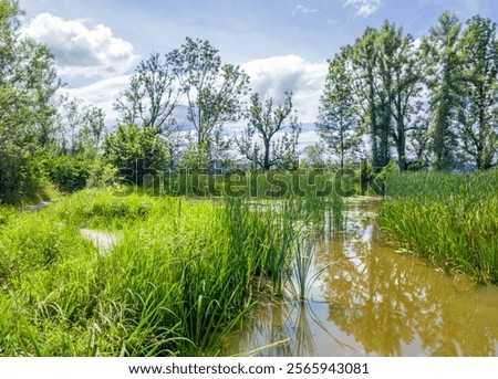 Similar – Foto Bild Biotop und Naturschutzgebiet im Sommer bei Sonnenschein am Poyrazlar Gölü bei Adapazari in der Provinz Sakarya in der Türkei