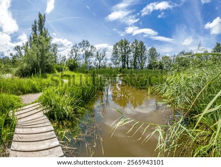 Similar – Foto Bild Biotop und Naturschutzgebiet im Sommer bei Sonnenschein am Poyrazlar Gölü bei Adapazari in der Provinz Sakarya in der Türkei