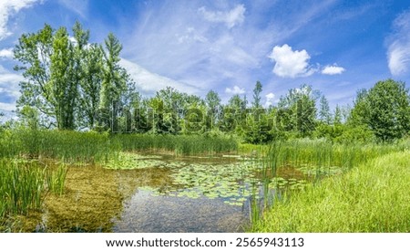 Similar – Foto Bild Biotop und Naturschutzgebiet im Sommer bei Sonnenschein am Poyrazlar Gölü bei Adapazari in der Provinz Sakarya in der Türkei