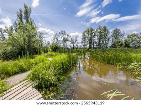 Similar – Foto Bild Biotop und Naturschutzgebiet im Sommer bei Sonnenschein am Poyrazlar Gölü bei Adapazari in der Provinz Sakarya in der Türkei