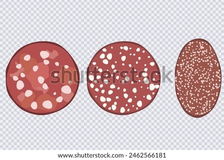 Slices of various sausage. Round slices of sausage salami isolated on transparent. Ingredient to create sandwiches canape, snacks .Great for menu, label, product packaging, recipe. Vector flat design