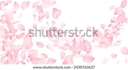 Similar – Image, Stock Photo Detail of a pink poppy flower with raindrops on the petal