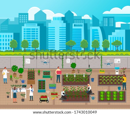 Urban agriculture. City farming, using modern technologies, solar panel, flying drones with gps signal. Developing farm infrastructure at city background. Farmers growing fresh vegetables, fruits