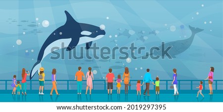 People watching underwater scenery with large whales in oceanarium. Underwater fauna with marine world representatives. Oceanarium visitors look at killer whale in aquarium vector illustration