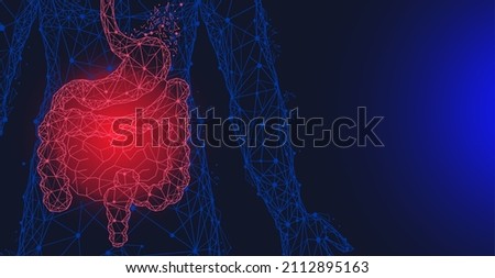 Polygonal stomach and intestines. Medical research of internal organs, innovative approach concept. Human digestive system illustration. Modern depiction of organs for digesting and assimilating food