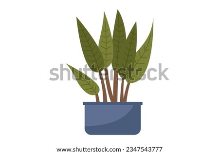 House and home plant. Vector illustration. The health interior potted plant is crucial for maintaining appeal your trendy home decor with plants Room decoration gardening offers countless Room