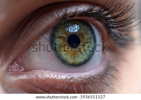 Similar – Image, Stock Photo Detail of the eye of a newborn