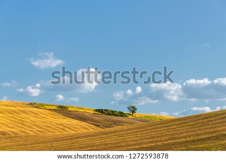 Similar – Image, Stock Photo Country landscape in Basilicata, Italy, at summer