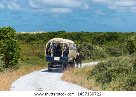 Similar – Image, Stock Photo Wadden car ride to Neuwerk
