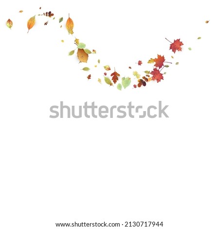 Similar – Image, Stock Photo Curved autumn leaves in the play of lights