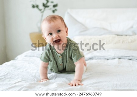 Image, Stock Photo Portrait of adorable boy in Santa Claus hat on blue studio background. Christmas