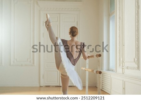 Similar – Image, Stock Photo Young ballerina dancing near palms