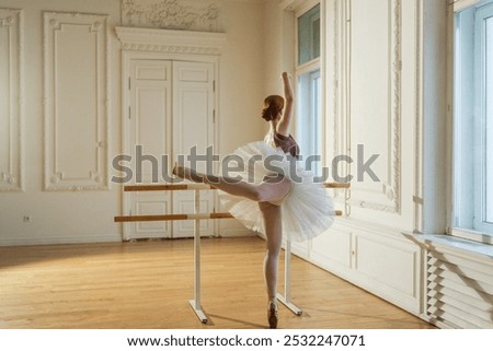 Similar – Image, Stock Photo Young ballerina dancing near palms