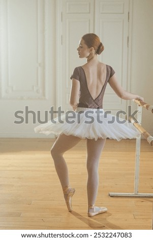 Similar – Image, Stock Photo Young ballerina dancing near palms