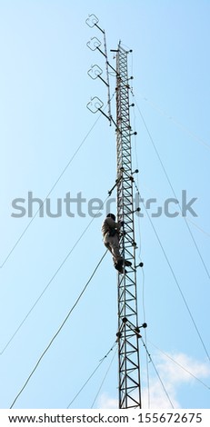 Technicians Working On A Telecommunication Tower