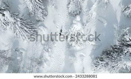 Similar – Image, Stock Photo Hiker walks in winter sunshine through the Heckengäu near Weissach