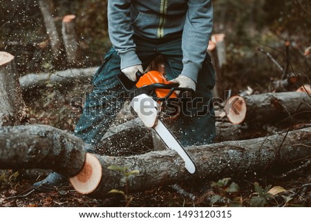 Similar – Image, Stock Photo Kumberjack in the forest