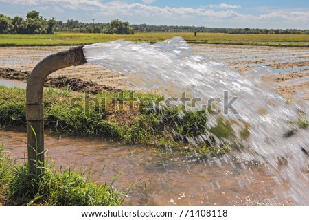 Similar – Image, Stock Photo Water flows through the potato plantation. Watering and care of the crop. Surface irrigation of crops. European farming. Agriculture. Agronomy. Providing farms and agro-industry with water resources.