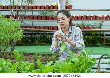 Similar – Image, Stock Photo Young woman harvesting fresh courgettes from the garden