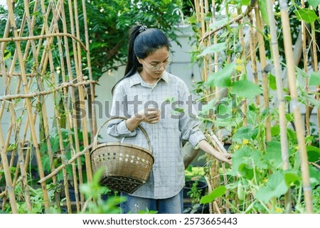 Similar – Image, Stock Photo Young woman harvesting fresh courgettes from the garden