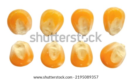 Similar – Image, Stock Photo Corn seeds and a glass jar container on a grey background