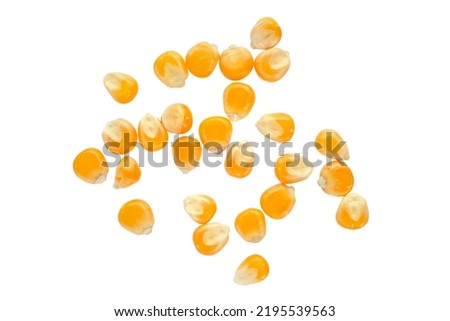 Similar – Image, Stock Photo Dried corn seeds at factory