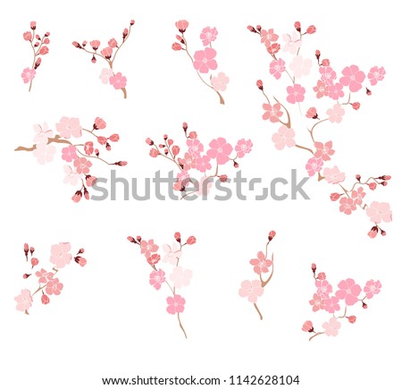 Similar – Image, Stock Photo beautiful almond tree flowers at sunset. Nobody, nature and spring concept