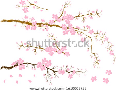 Branch of sakura flower vector for printing on background.Peach blossom illustration for doodle art.Cherry blossom with nature background.Apricot flower set for tattoo.Japanese floral collection. ストックフォト © 
