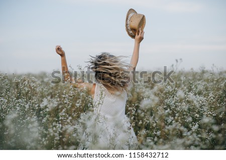 Similar – Image, Stock Photo Flowering grass backlit