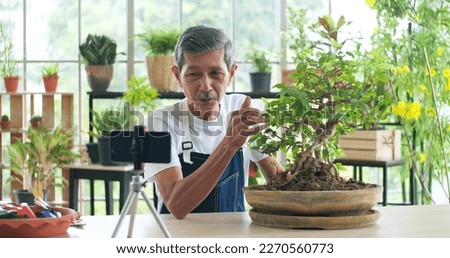 Similar – Image, Stock Photo Senior influencer working at table in modern workplace