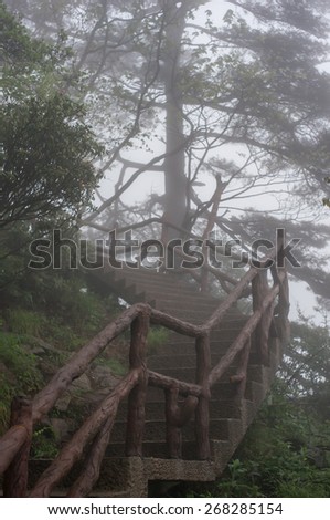 Foggy path ahead in the yellow mountains (Huangshan), Anhui Province, China