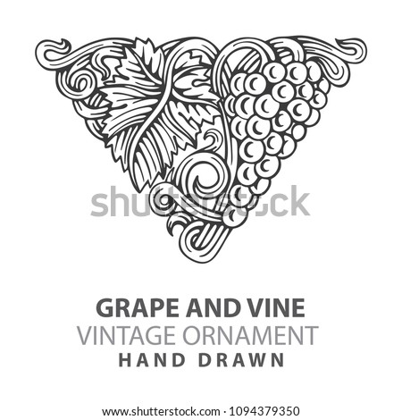 Grape. Hand drawn grape and vine engraving style illustrations set. 
Bunch of grapes vector design element. Grape and vine logo and background.
Wine theme grape and vine vintage style ornament. 