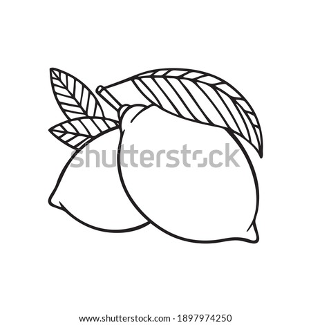 Lemons. Lemons with leaves hand drawing illustration. Lemons outline sketch. Part of set. 