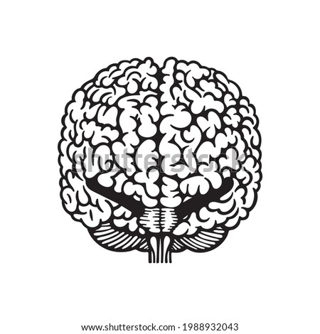 Brain hemispheres. Human brain front view hand drawn vector illustration. Brain outline drawing. Part of set.