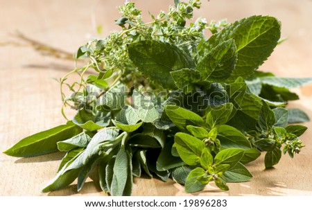 fresh herbs bouquet